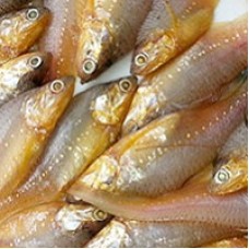 Anchovy / Mandeli